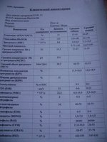 DSC04214.JPG