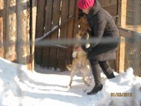 Гусь 023.jpg