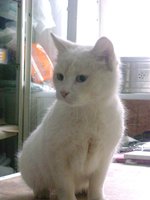 DSC04225.JPG