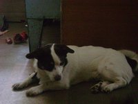 DSC04244.JPG