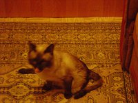DSC04263.JPG
