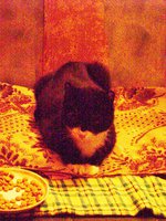 DSC04290.JPG