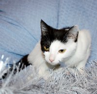 z_16565a37.jpg
