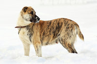 Эрна 2.jpg
