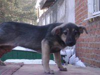 DSC04320.JPG