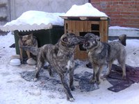 DSC04330.JPG