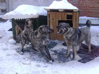 DSC04329.JPG