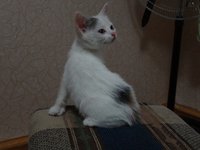 Дуня.jpg