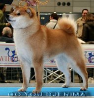 minako_2003-06web.jpg