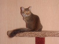 DSC01620.JPG