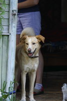 _MG_6073.jpg