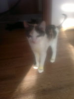 16032012663.jpg