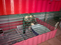 14032012646.jpg