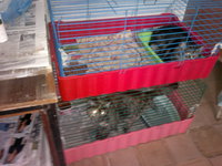 14032012647.jpg