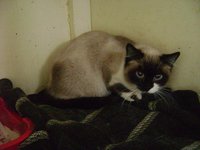 DSC04376.JPG