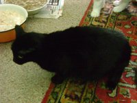 DSC04349.JPG