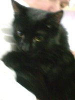DSC04374.JPG