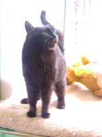 DSC04445.JPG