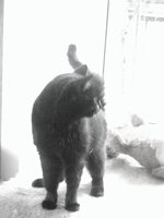 DSC04446.JPG