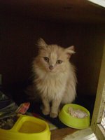DSC04385.JPG