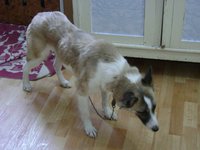 DSC04461.JPG