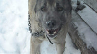 SAM_0038 001_00015.jpg