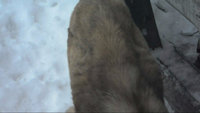 SAM_0038 001_00012.jpg