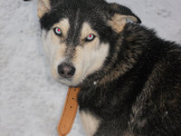 DSCN2667.JPG