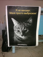 22032012679.jpg
