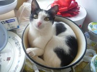 Лора отдыхвет.JPG