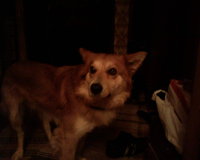 20120125114635_SP_A0110.jpg