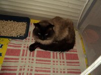 DSC01889.JPG
