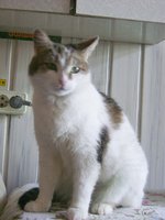 DSC04464.JPG