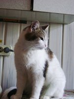 DSC04465.JPG