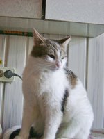 DSC04466.JPG