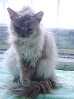 DSC04488.JPG