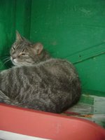 DSC04497.JPG
