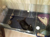 c8279332f750.jpg (80.27 КБ) 1856 просмотров c8279332f750.jpg