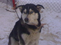 07022012721.jpg