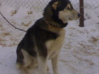 07022012726.jpg