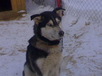 07022012727.jpg
