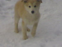 250320121577.jpg