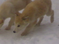 250320121574.jpg