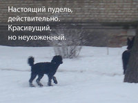 DSC03320.JPG