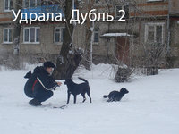 DSC03321.JPG