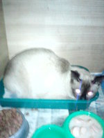 P01-04-12_14.27.jpg