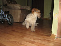 IMG_6543.jpg