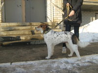 IMG_6549.jpg