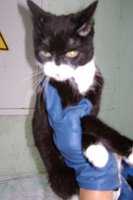 DSC00447.JPG