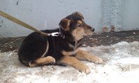 IMAG0019.jpg
